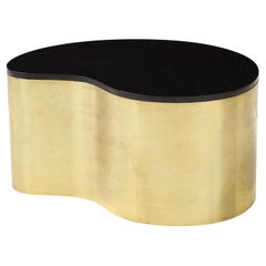 Karl Springer Free Form Coffee Table in Brass and Granite, 1970s
