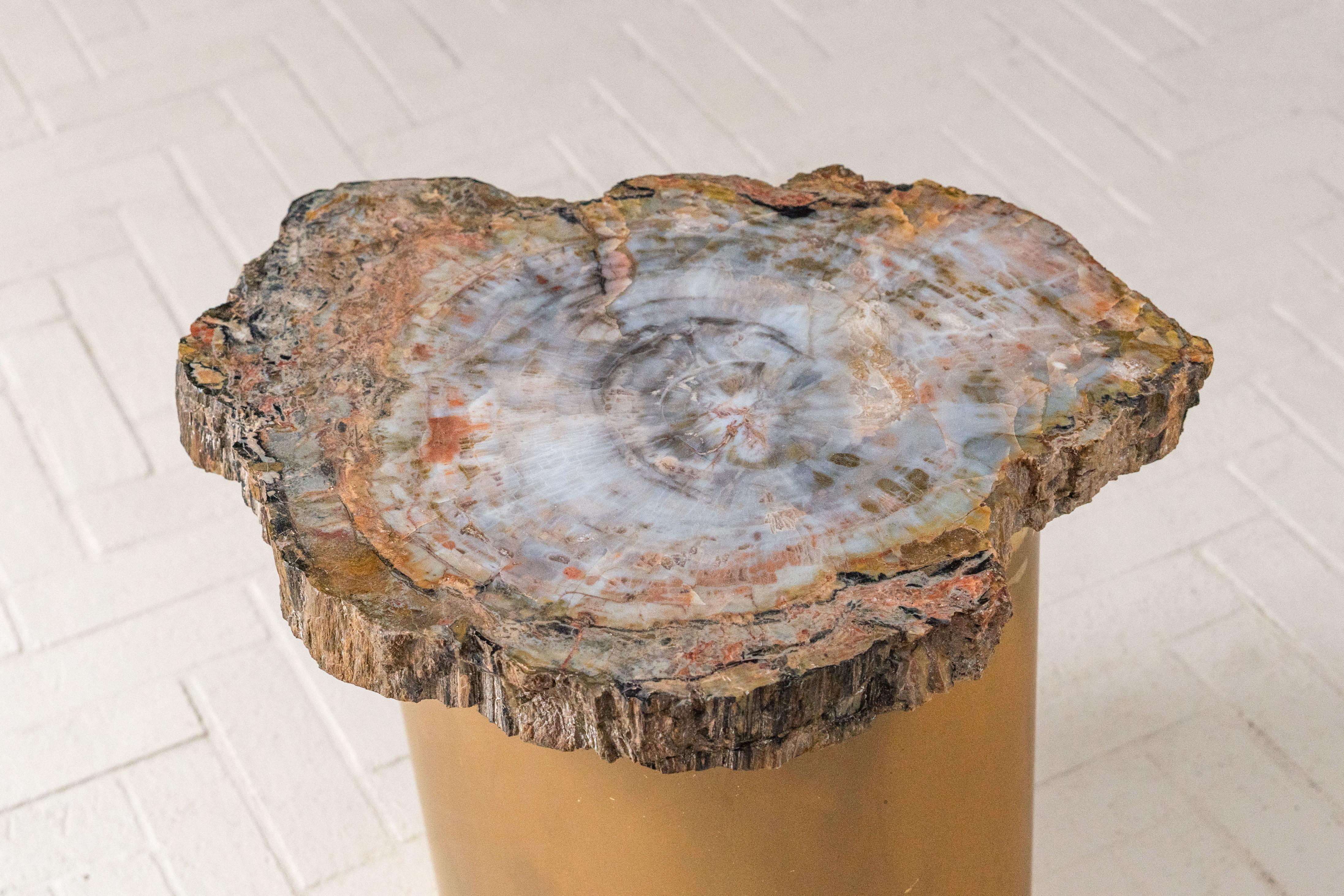 Mid-Century Modern Karl Springer Petrified Wood Side Table For Sale