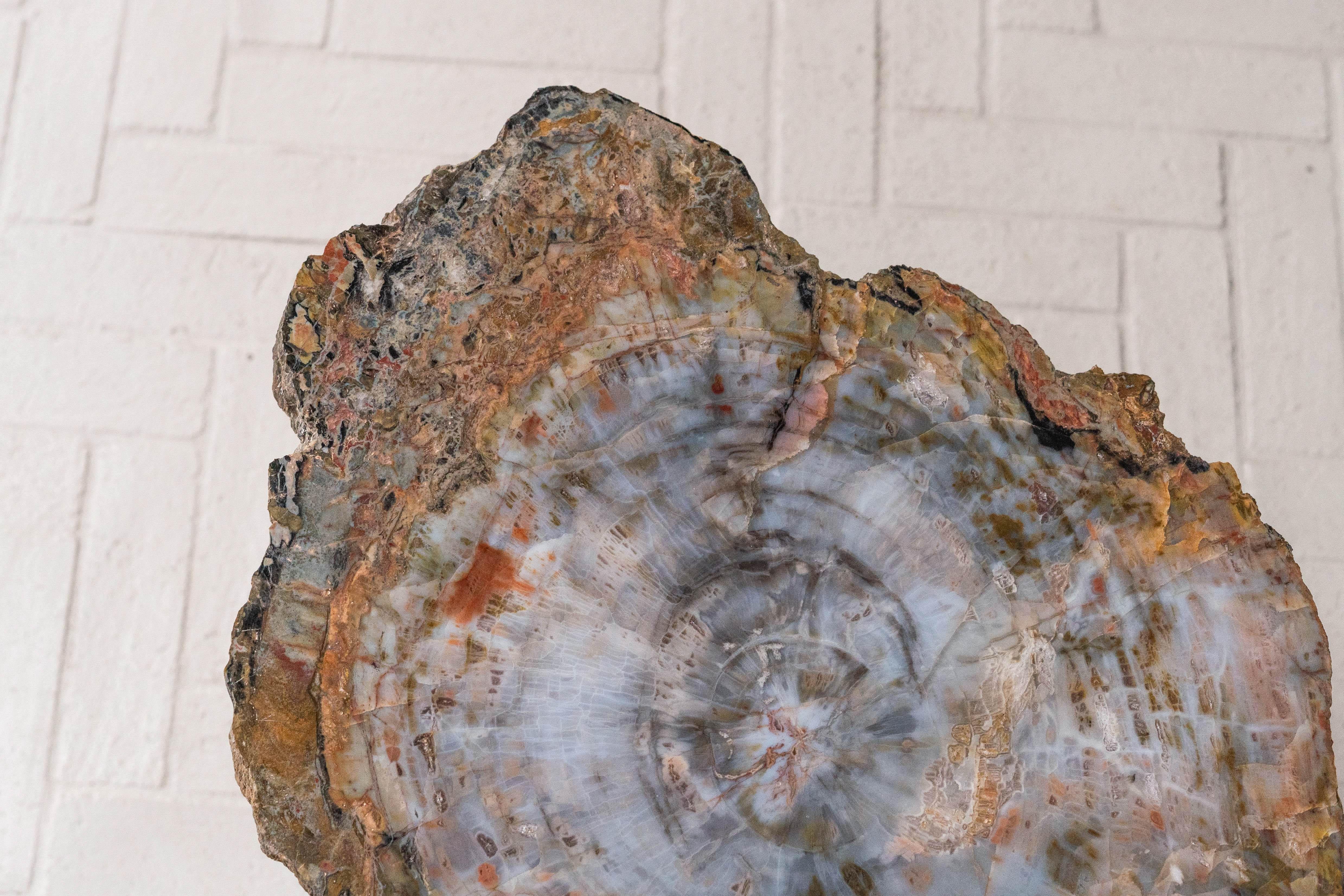 American Karl Springer Petrified Wood Side Table For Sale