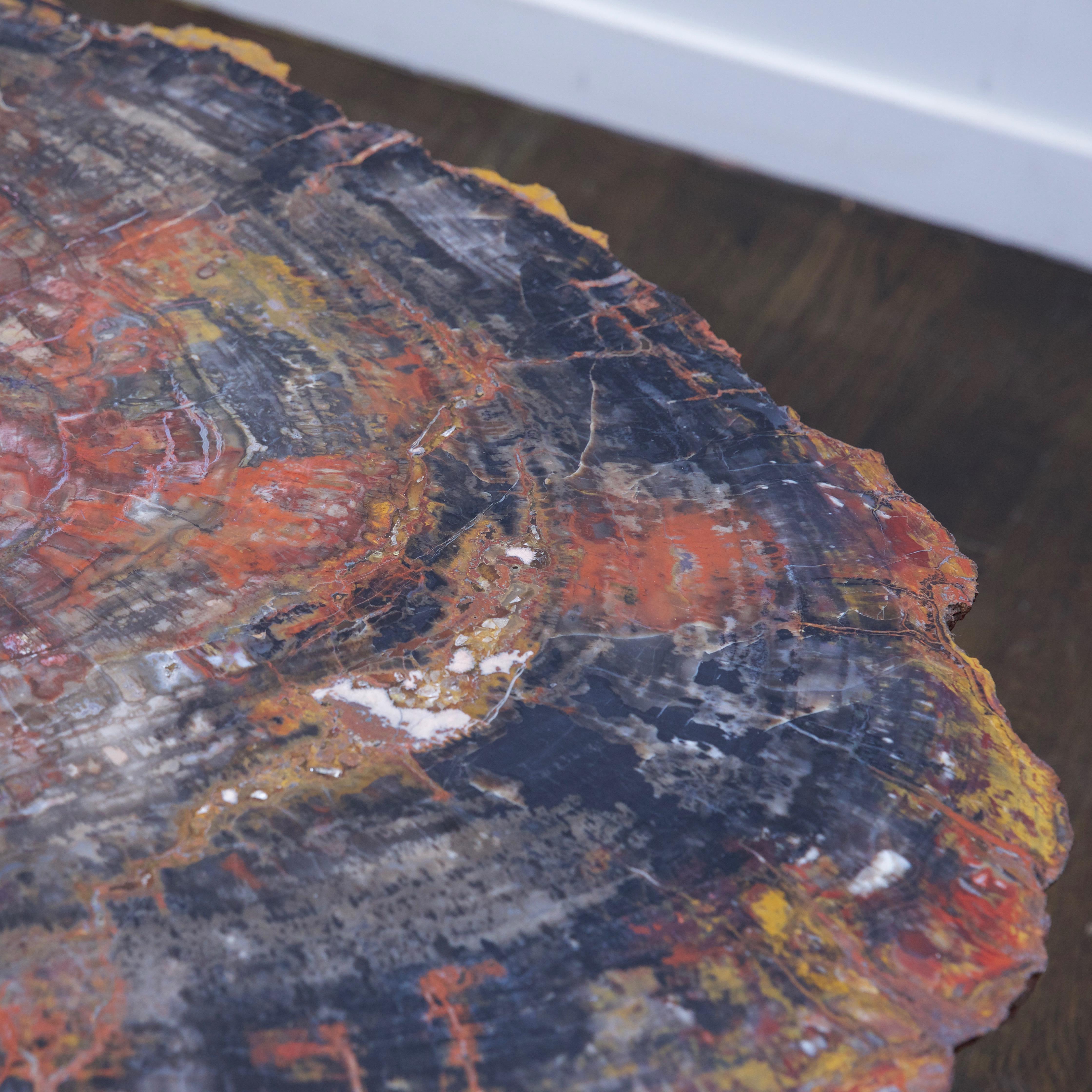 American Petrified Wood Table Top with Married Granite Base 