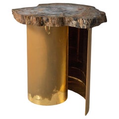 Karl Springer Beistelltisch aus versteinertem Holz