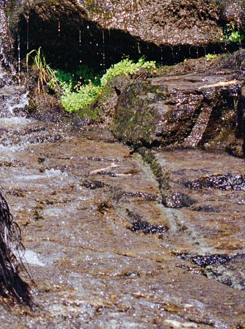 Karla HIRALDO VOLEAU (*1992, französisch-dominikanisch)
Absturz, 2024
Tintenstrahl auf Hahnemuhle Photo Rag Baryta
44 x 32 cm (17 3/8 x 12 5/8 in.)
Auflage von 3 Exemplaren plus 2 Probedrucke
Signiert von der Künstlerin

Karla Hiraldo Voleau,