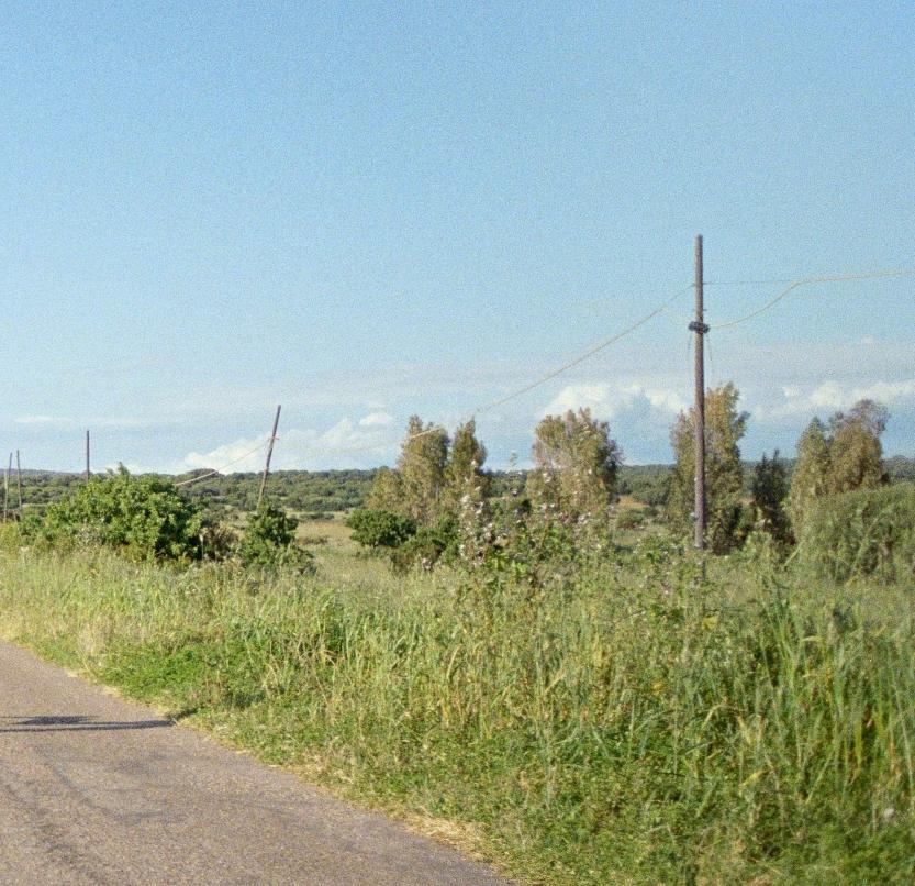 Karla HIRALDO VOLEAU (*1992, französisch-dominikanisch)
Mi trovo strana, 2024
Tintenstrahl auf Hahnemuhle Photo Rag Baryta
44 x 66 cm (17 3/8 x 26 in.)
Auflage von 3 Exemplaren plus 2 Probedrucke
Signiert von der Künstlerin

Karla Hiraldo Voleau,