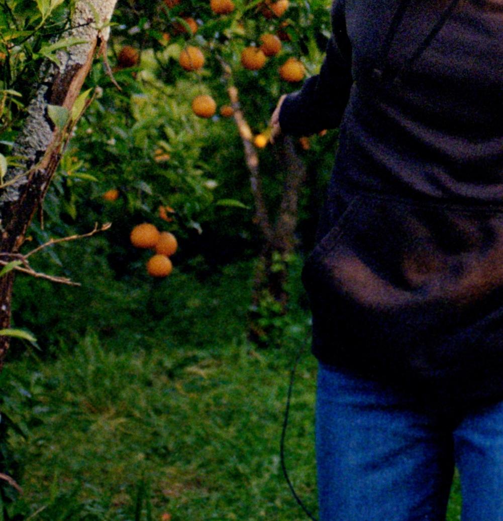 Vol d'oranges - Noir Color Photograph par Karla Hiraldo Voleau 