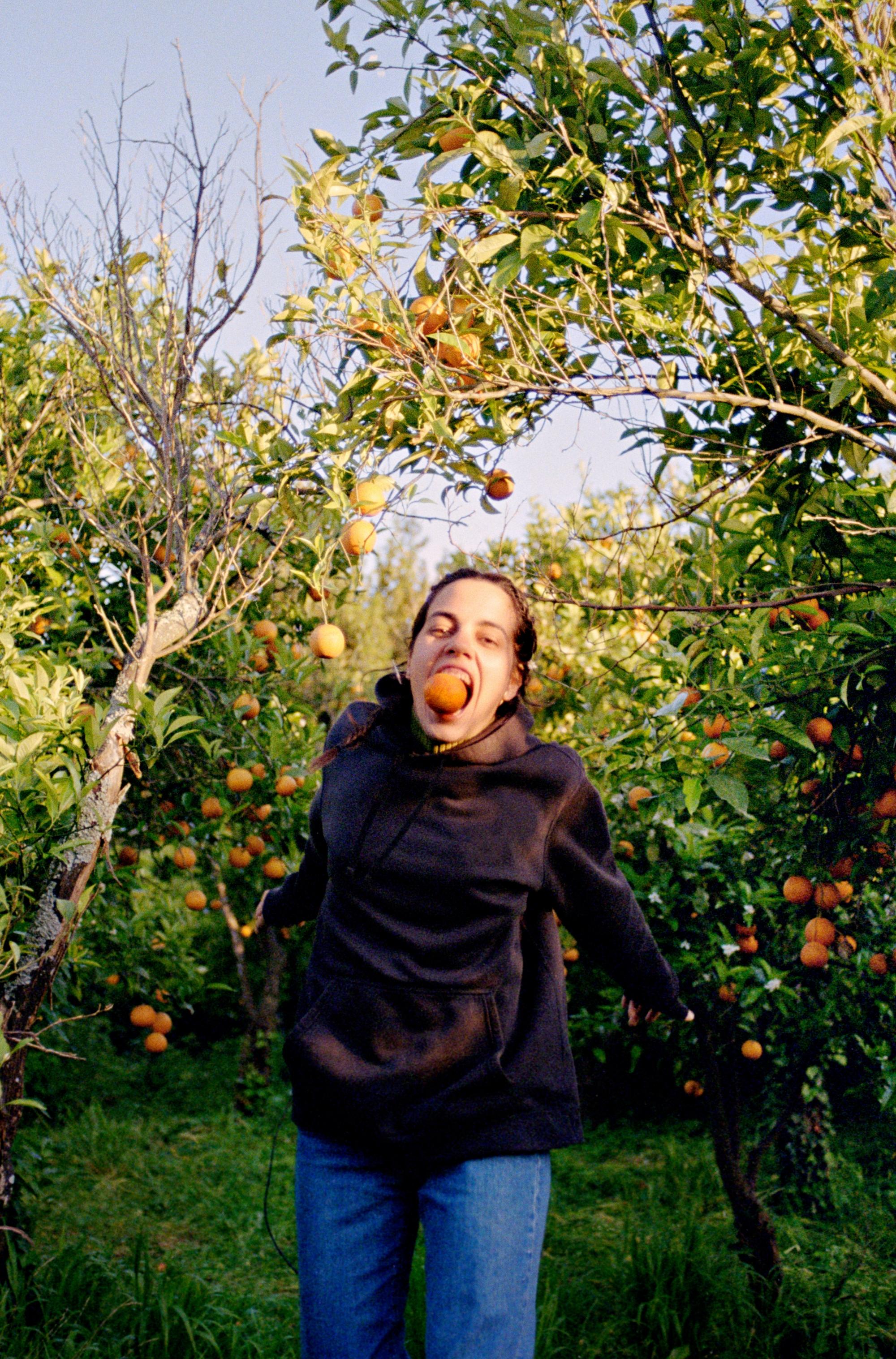 Vol d'oranges