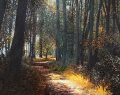 Seeing the Forest for the Trees