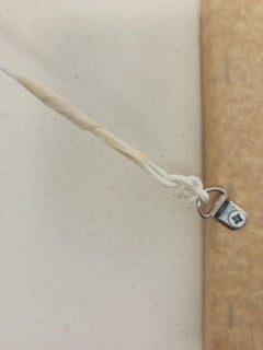 Sharing Abundant Space - Pittura Figurativa Massimalismo Contemporaneo Floreale Grassetto