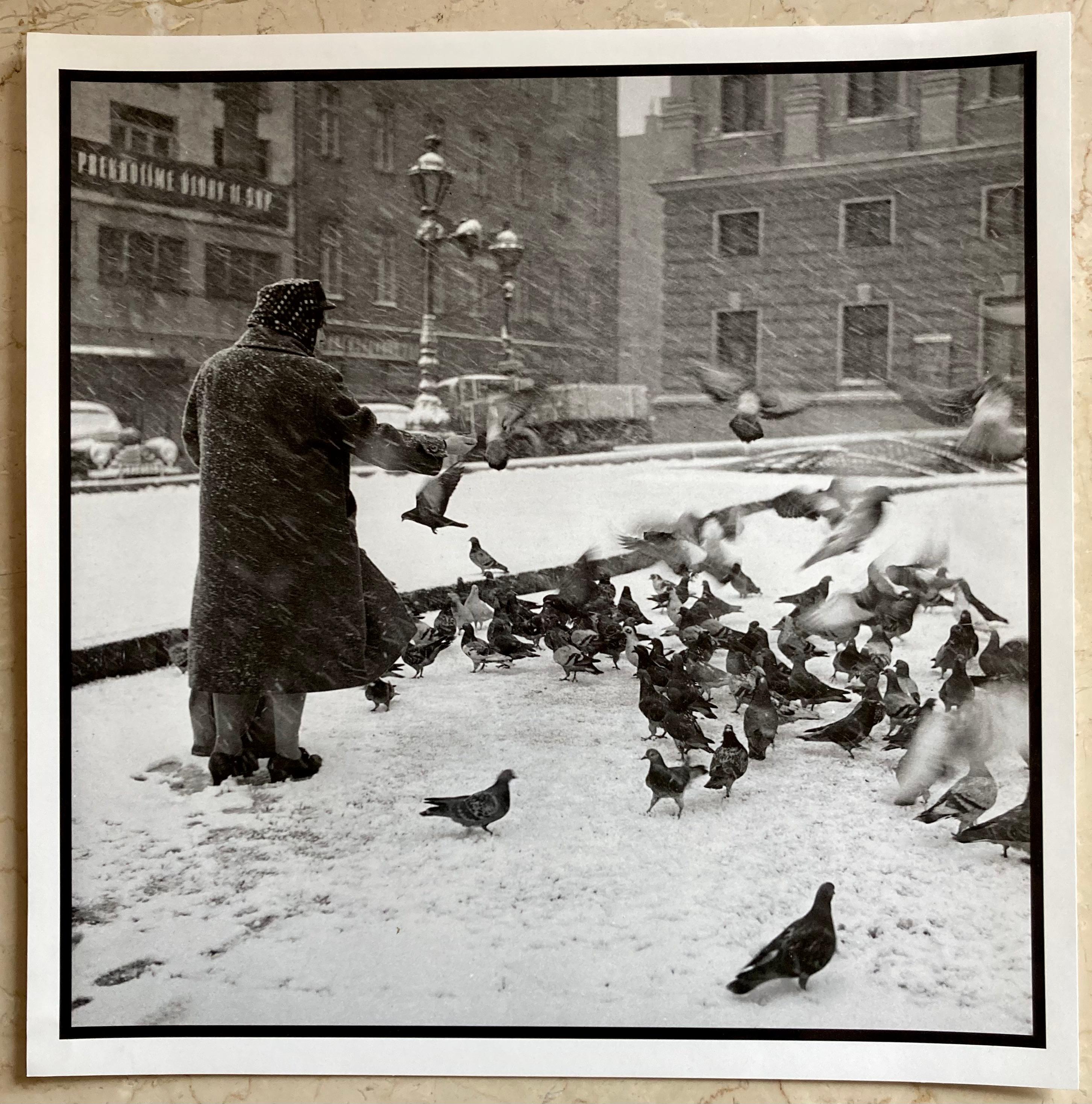 Pigeons-Fotografie in Schwarz-Weiß, Fotopapier, signiert