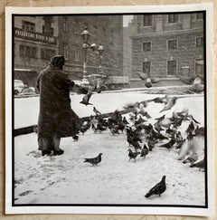 Used Pigeons Photography Black and White, Photographic-paper, Signed