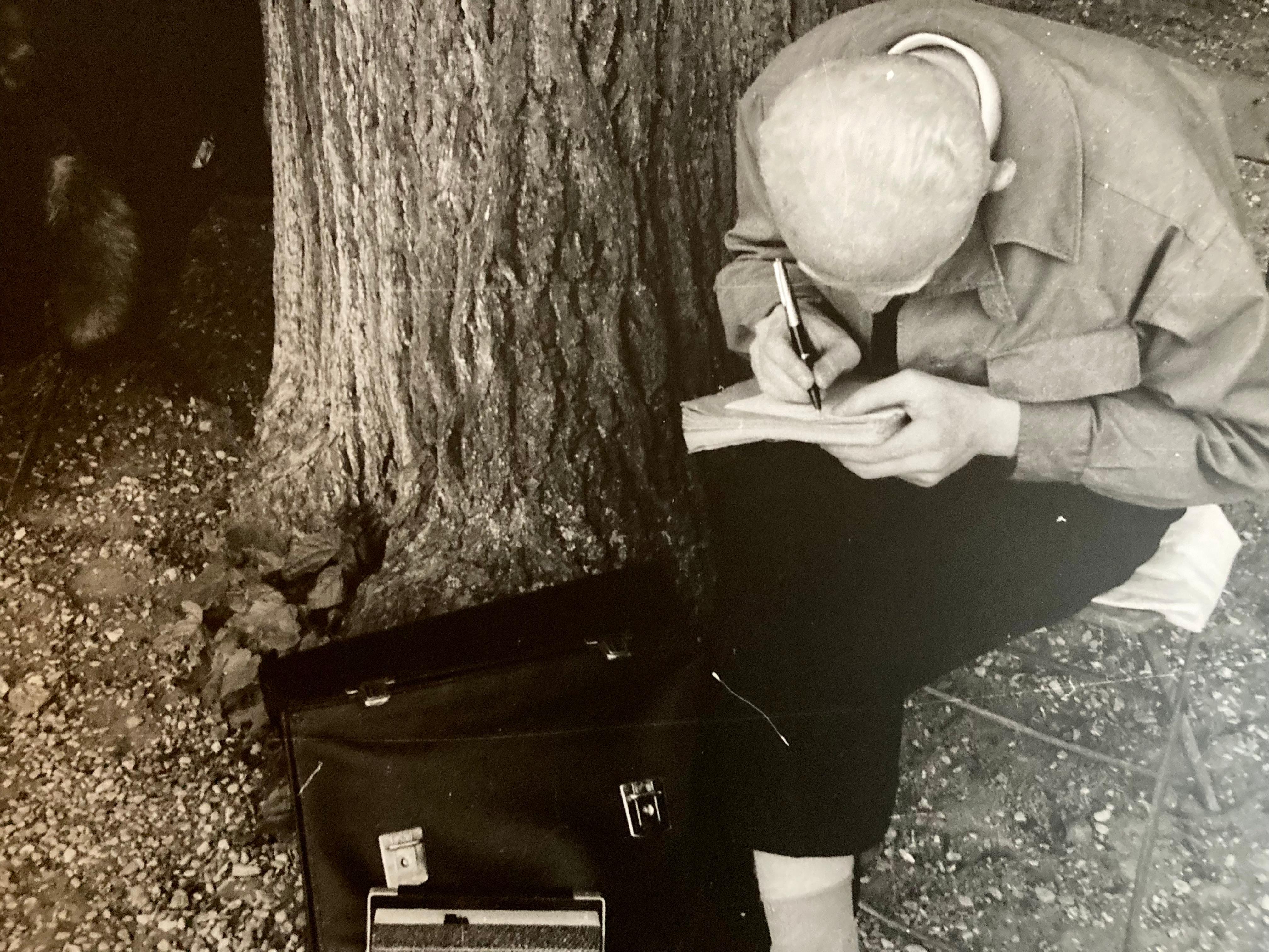 Zwei Kissen, eine Baumfotografie, Paris, signiert – Photograph von Karol Kallay