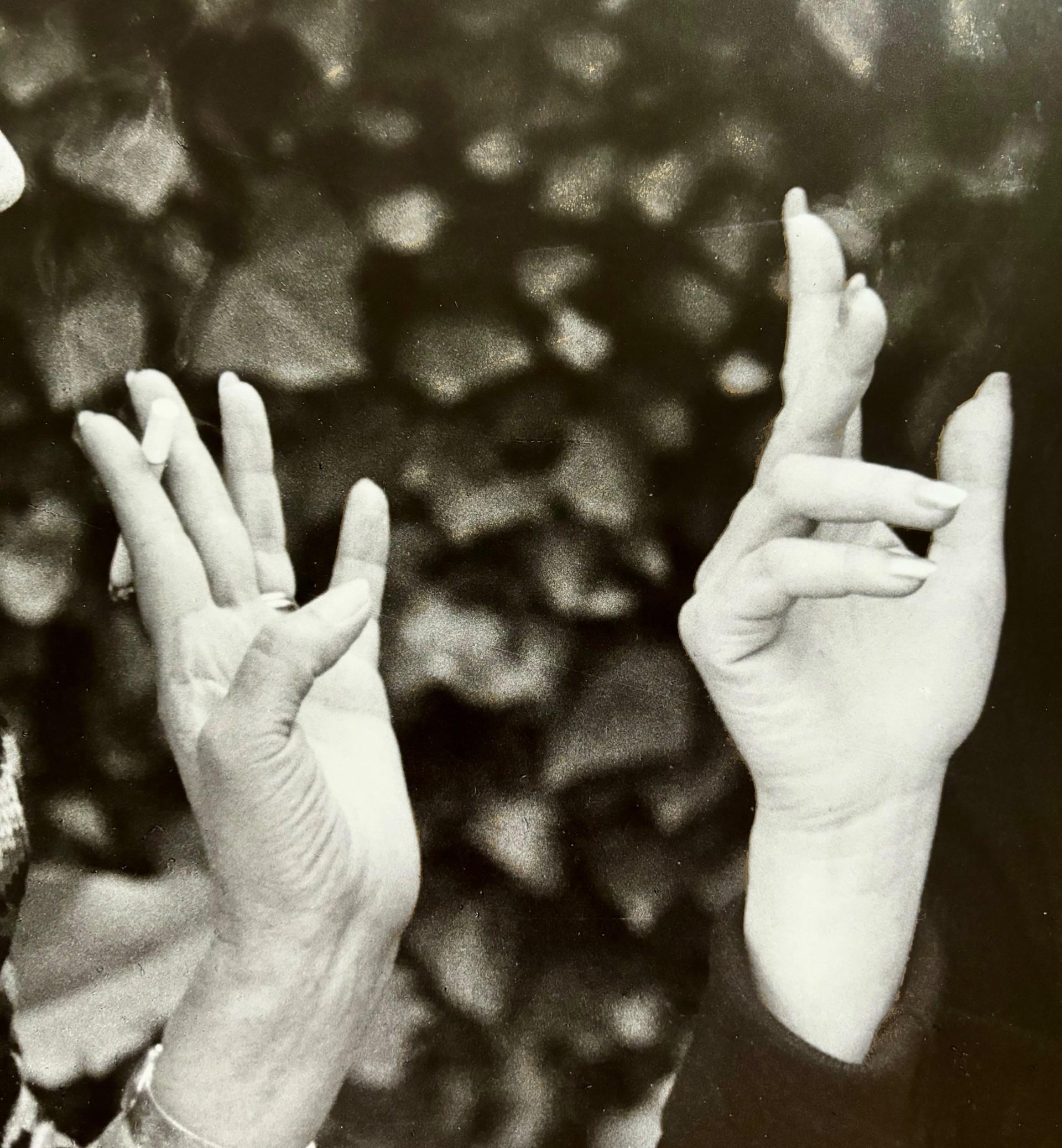 karol kallay