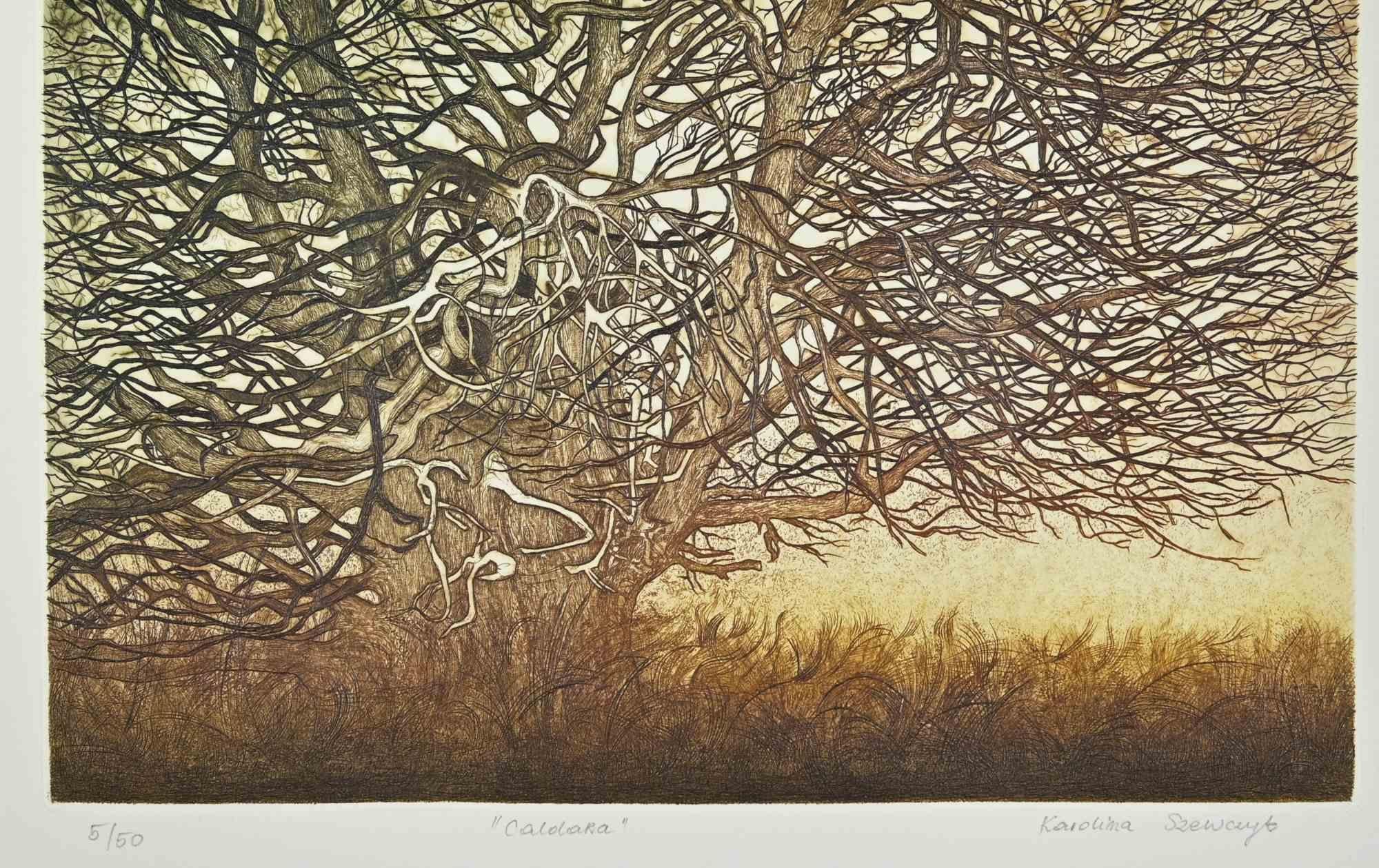 Caldara - Winter Landscape - Etching by Karolina Szewczyk - 2020s For Sale 1