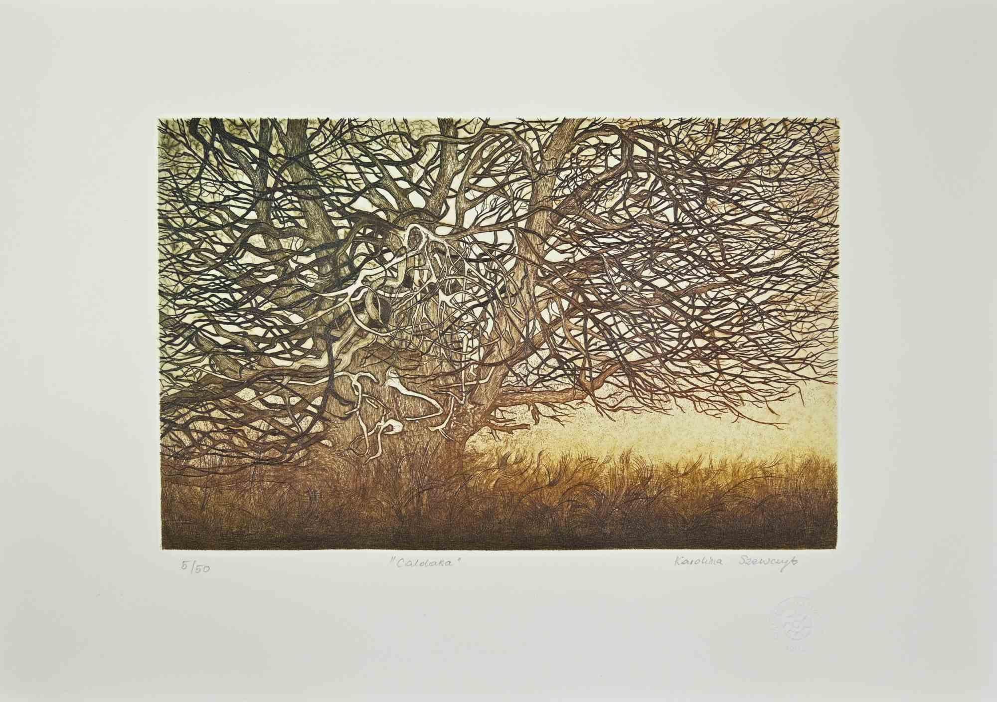Caldara - Winter landscape is an artwork realized by Karolina Szewczyk the 2020s.

Etching, Aquatint.

Hand-signed.

Numbered. Edition 5/50.