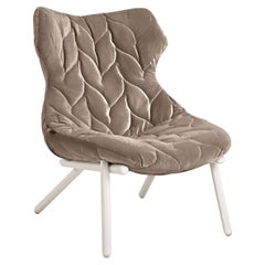 Kartell Foliage Armchair in Dove Grey by Patricia Urquiola