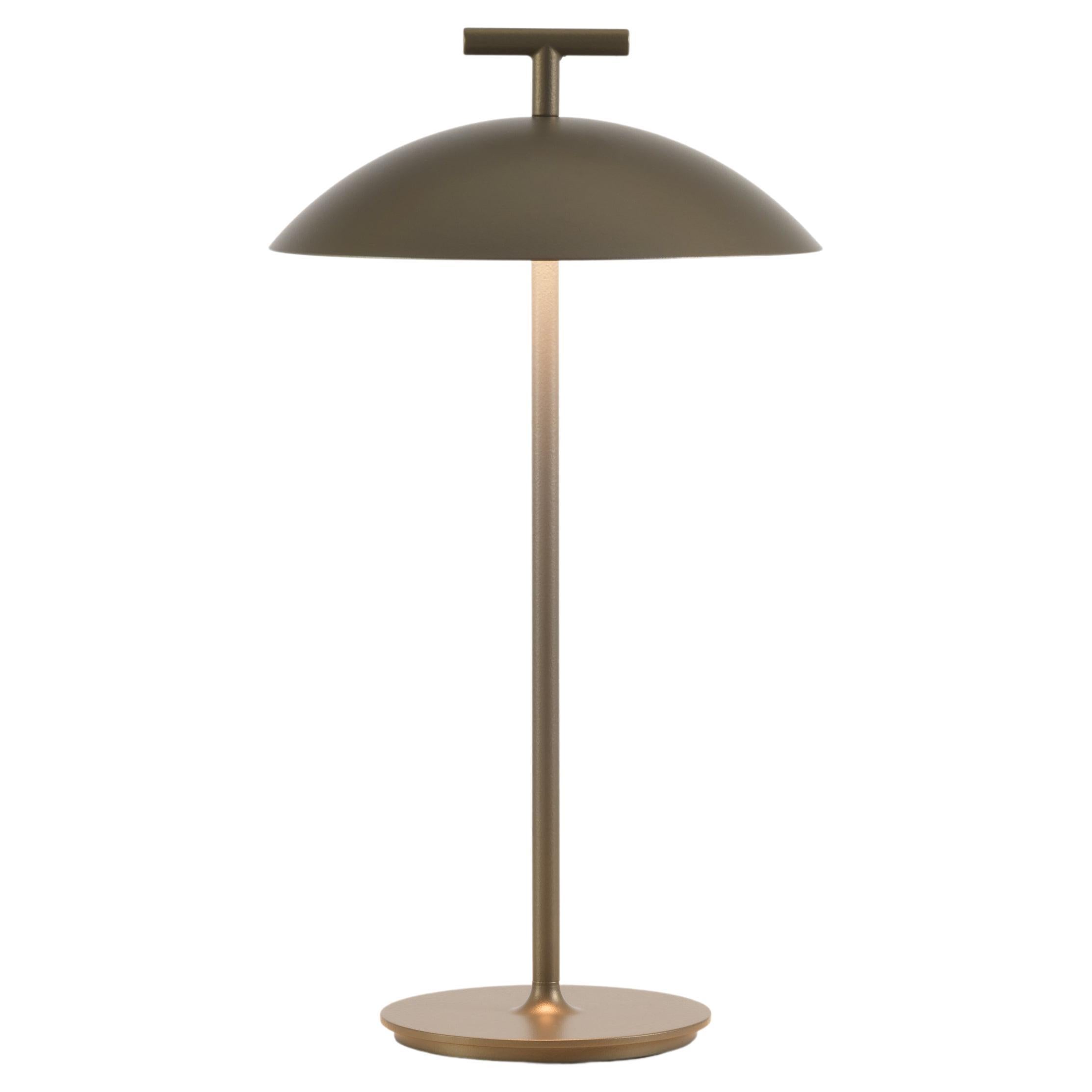 Kartell Mini Geen-A Lamp in Bronze by Ferruccio Laviani For Sale