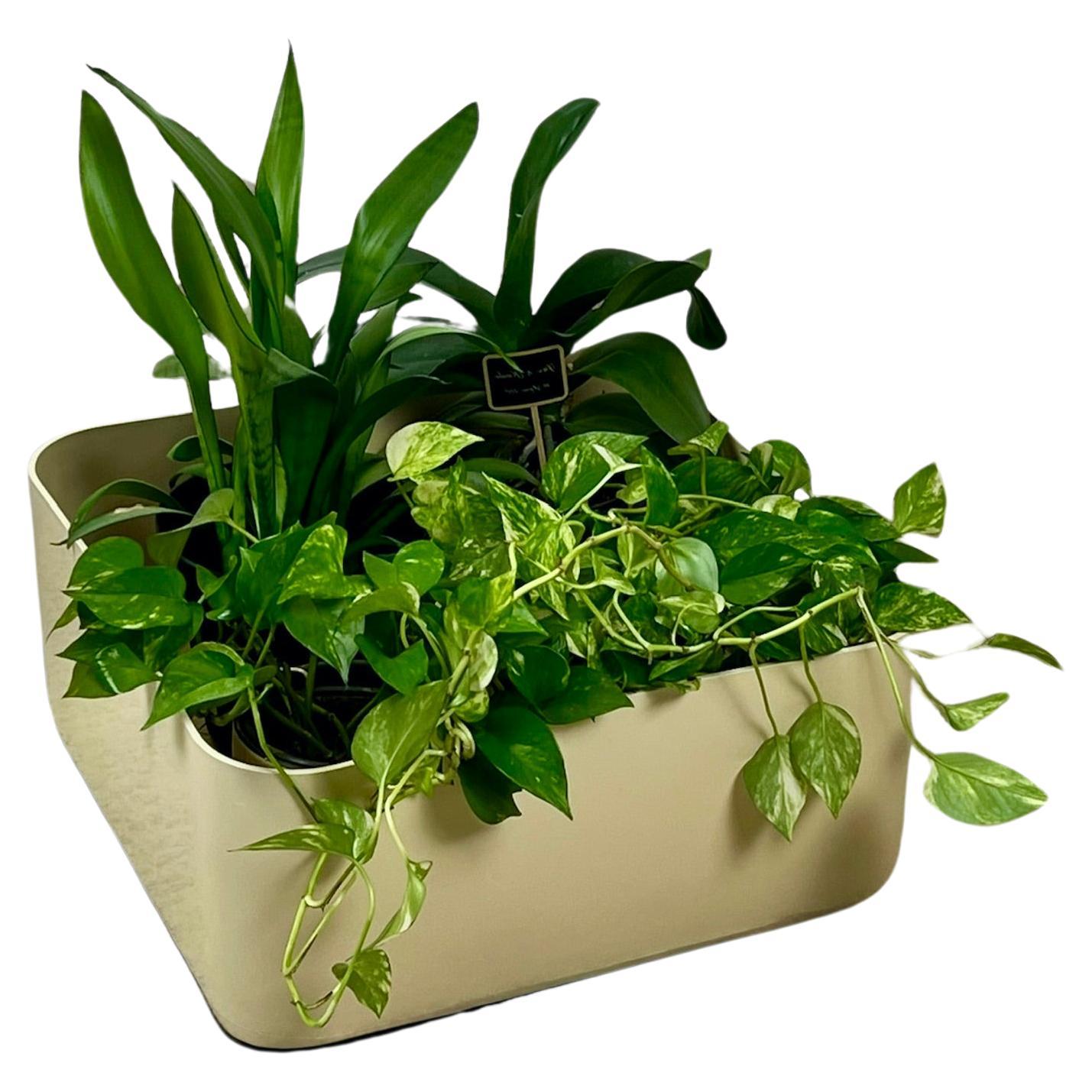 Beautiful and rare space age design planter / container on wheels by Anna Castelli Ferrieri, manufactured by Kartell in the 1960s.

The Model 4682 is a modern classic, timeless masterpiece of space age design, featuring a minimalistic shape with the