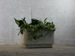 Kartell-Pflanzgefäß Modell 4686 von Anna Castelli Ferrieri, 1960er Jahre