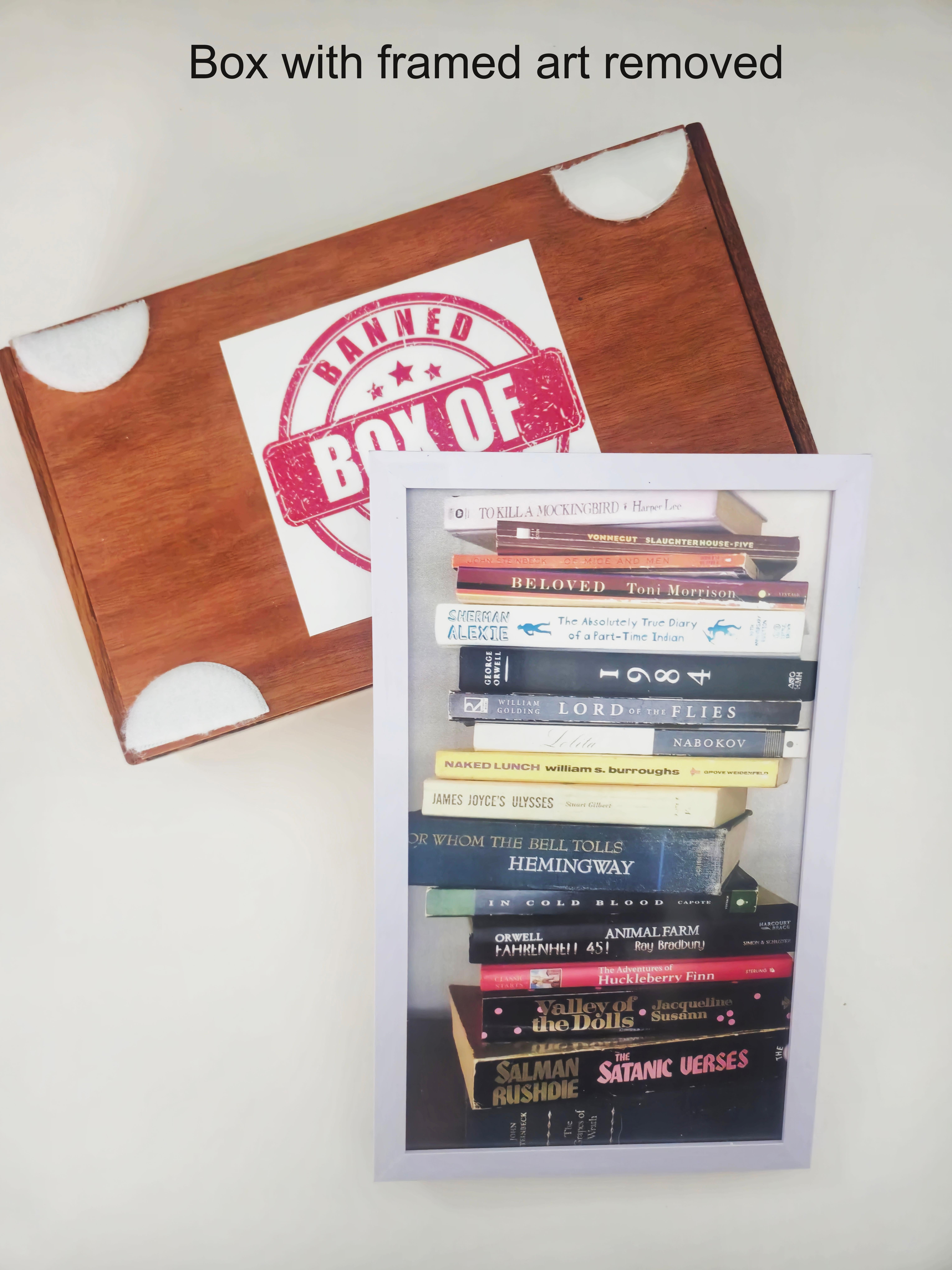 Box of Banned (Books) 2/3 For Sale 2