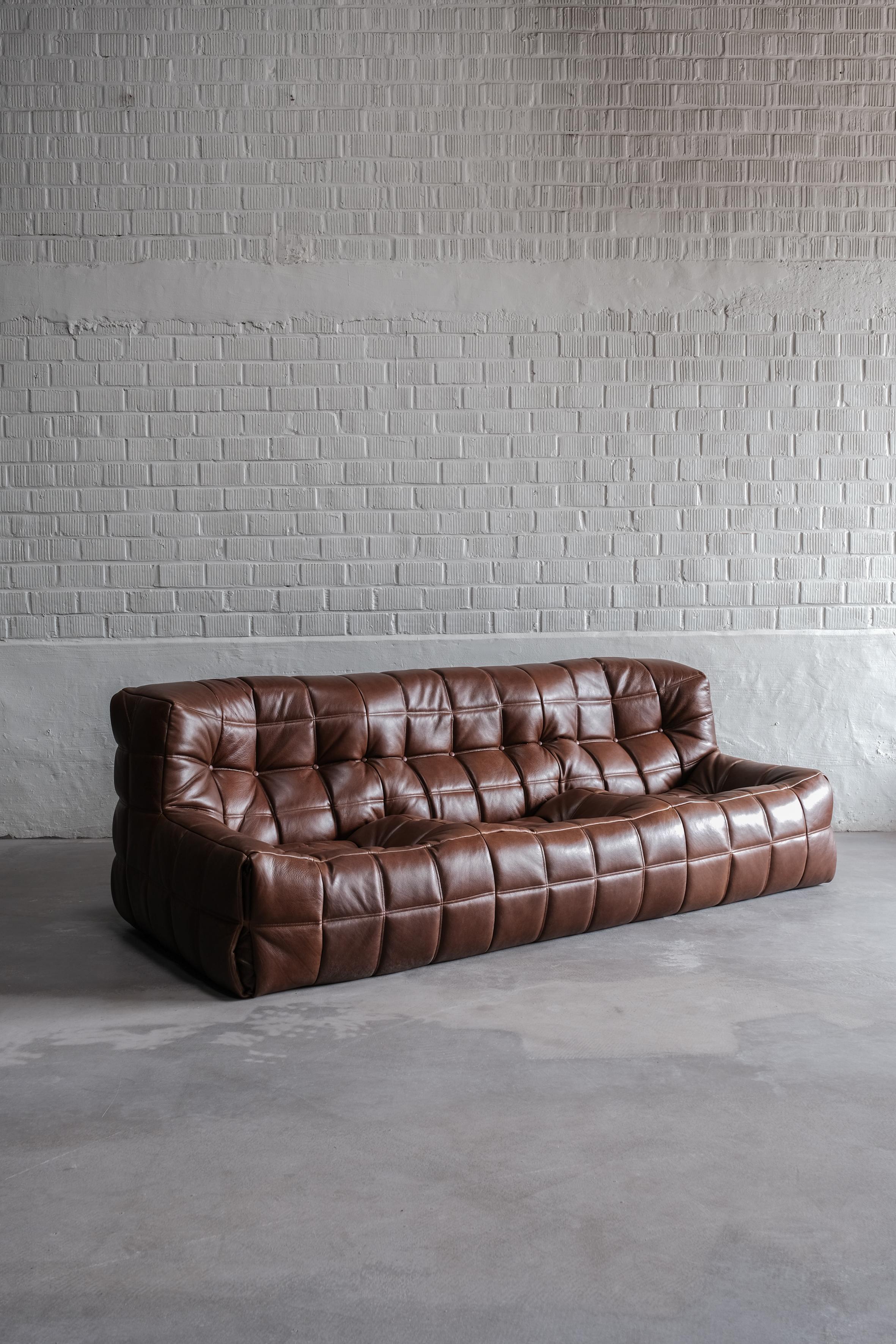 Rare kashima 3 seater designed by Michel Ducaroy. 
This 3 seater with dark brown leather is in excellent condition and is an eye catcher in every room. 