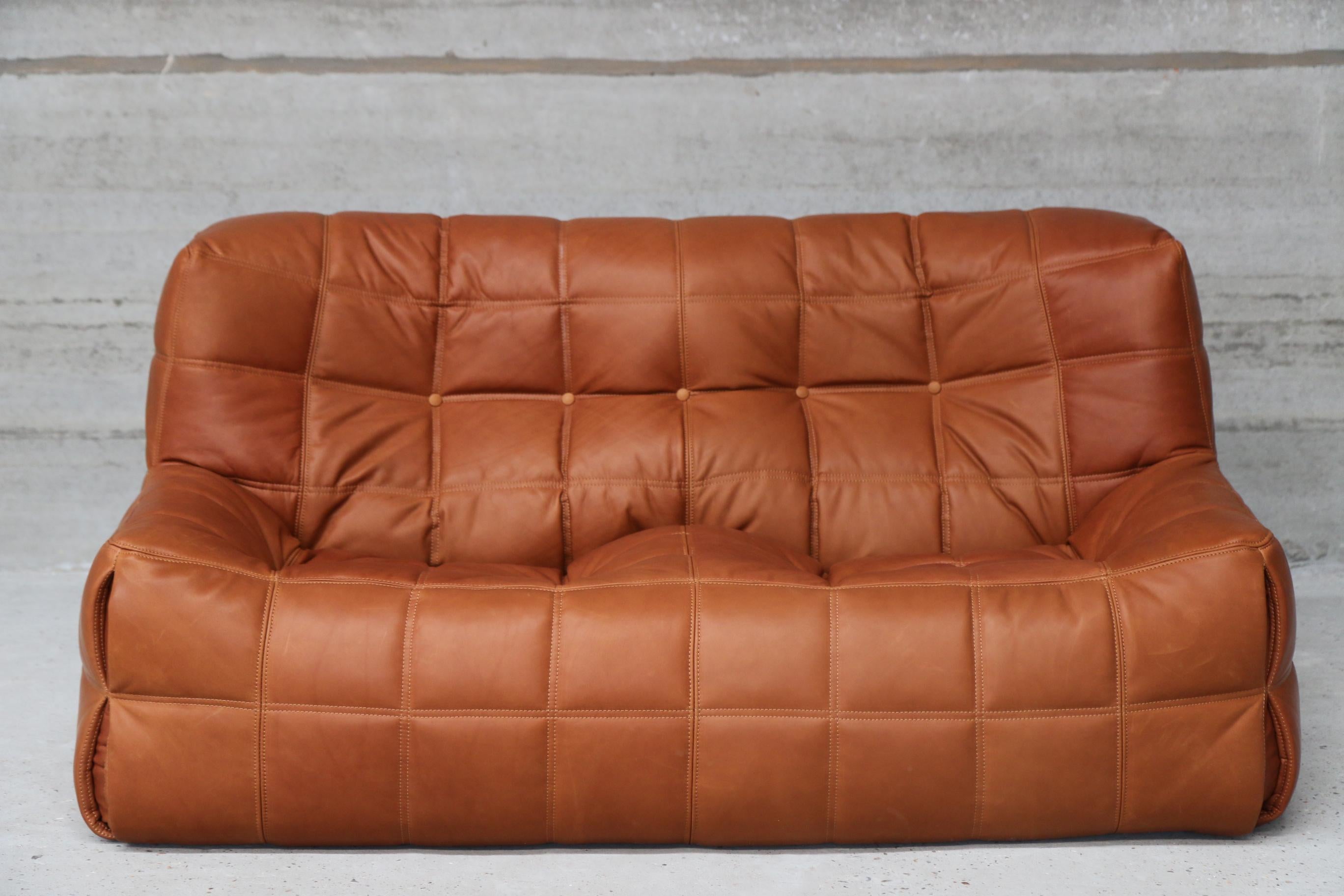 Mid-Century Modern Kashima Loveseat in Cognac Full Grain Natural Leather for Ligne Roset France TOP For Sale