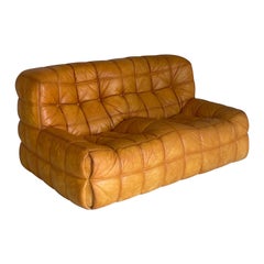 Kashima Sofa - 2 seater, Michel Ducaroy, Ligne Roset 1976