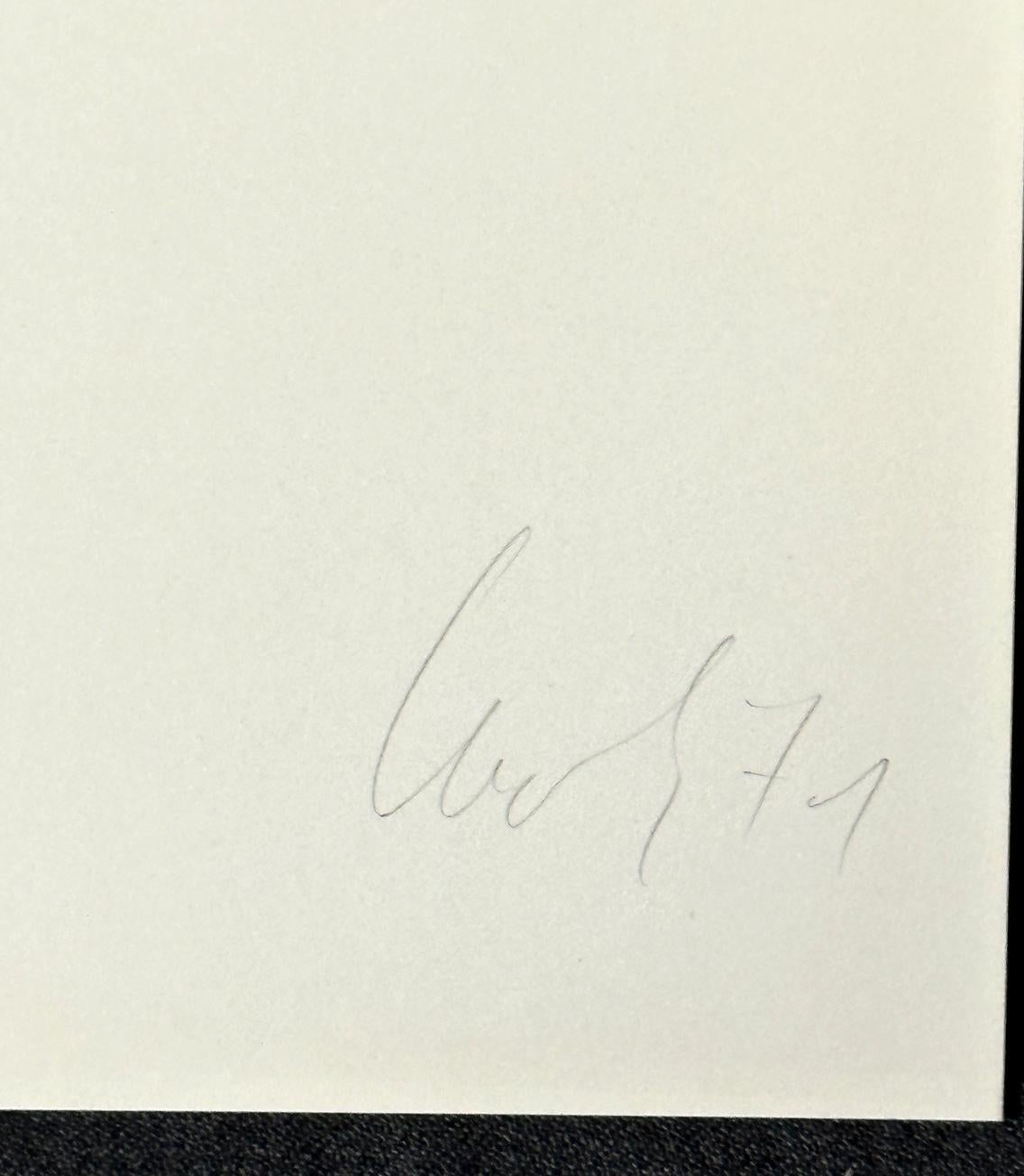 Kaspar Thomas Lenk Serie A B C 1971 Signierte Siebdrucke in limitierter Auflage im Angebot 3