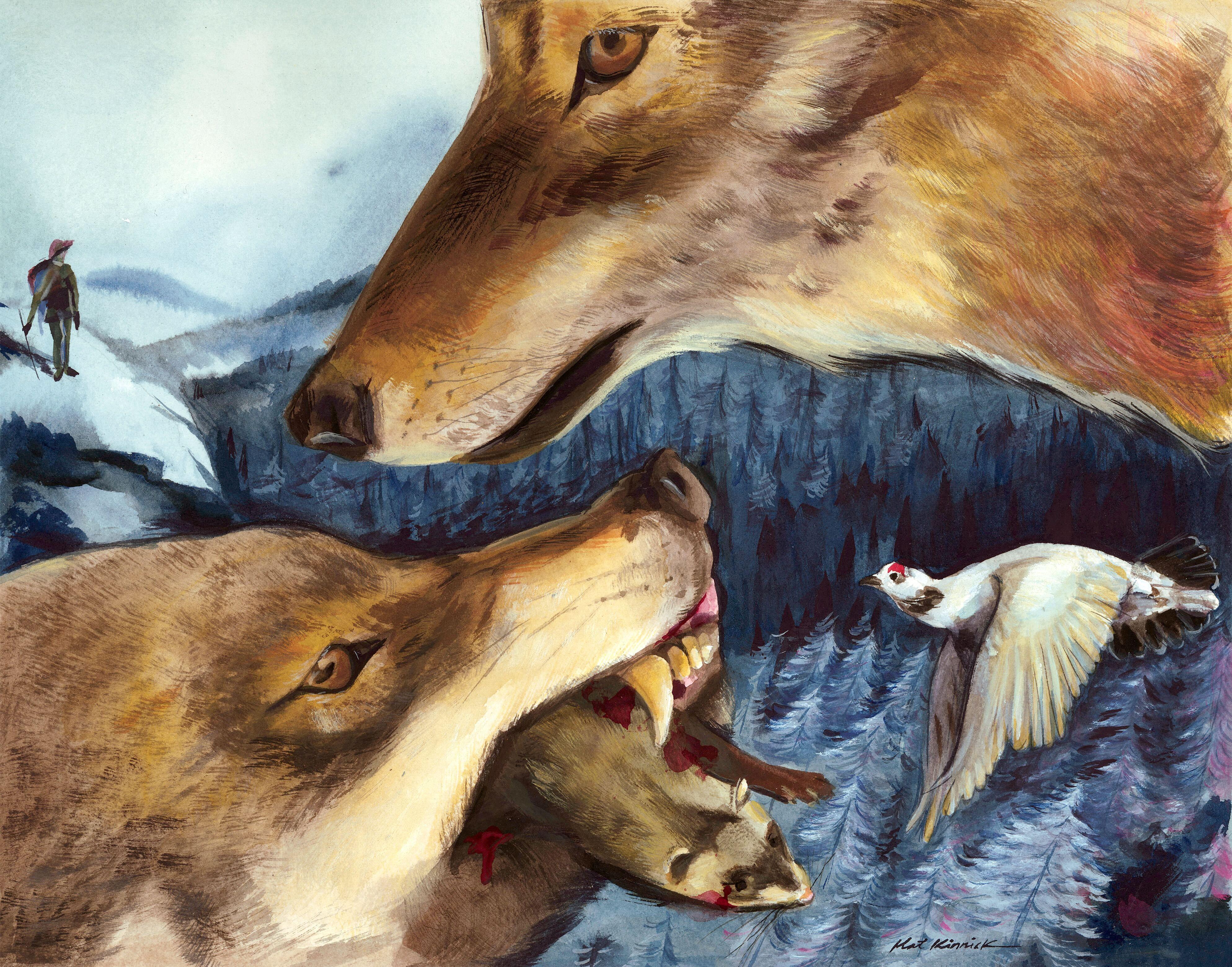 Kat Kinnick Animal Painting – Dramatischer Imbiss