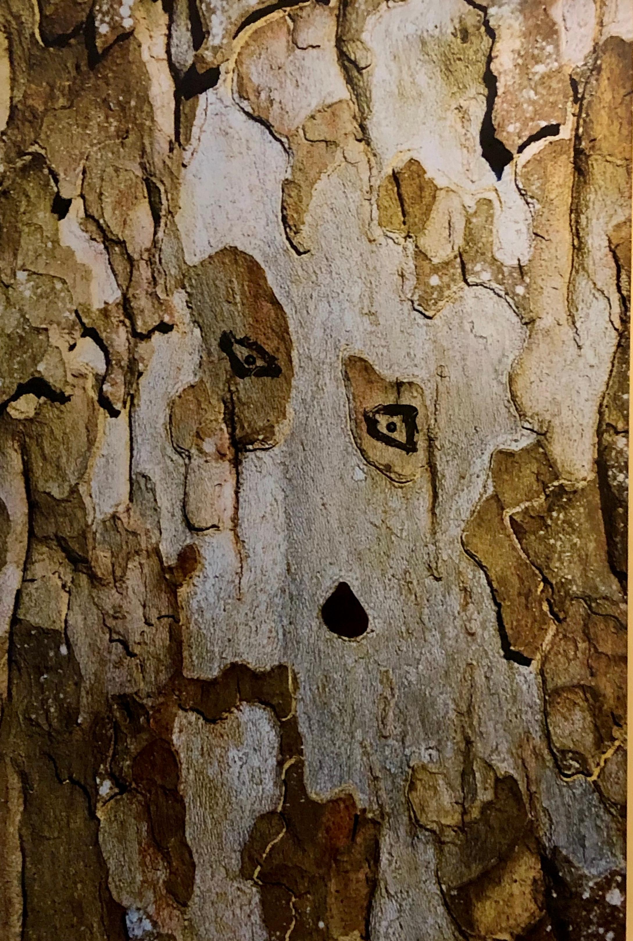 Tree Diva - Mixed Media Art by Kat O'Neill