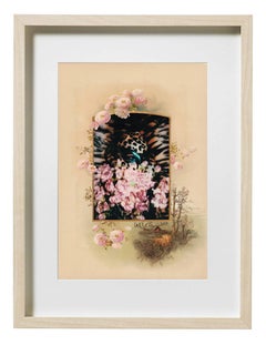 "Pink Carnations" Antique Victorian Photo Album page, C-type Print, Figurative