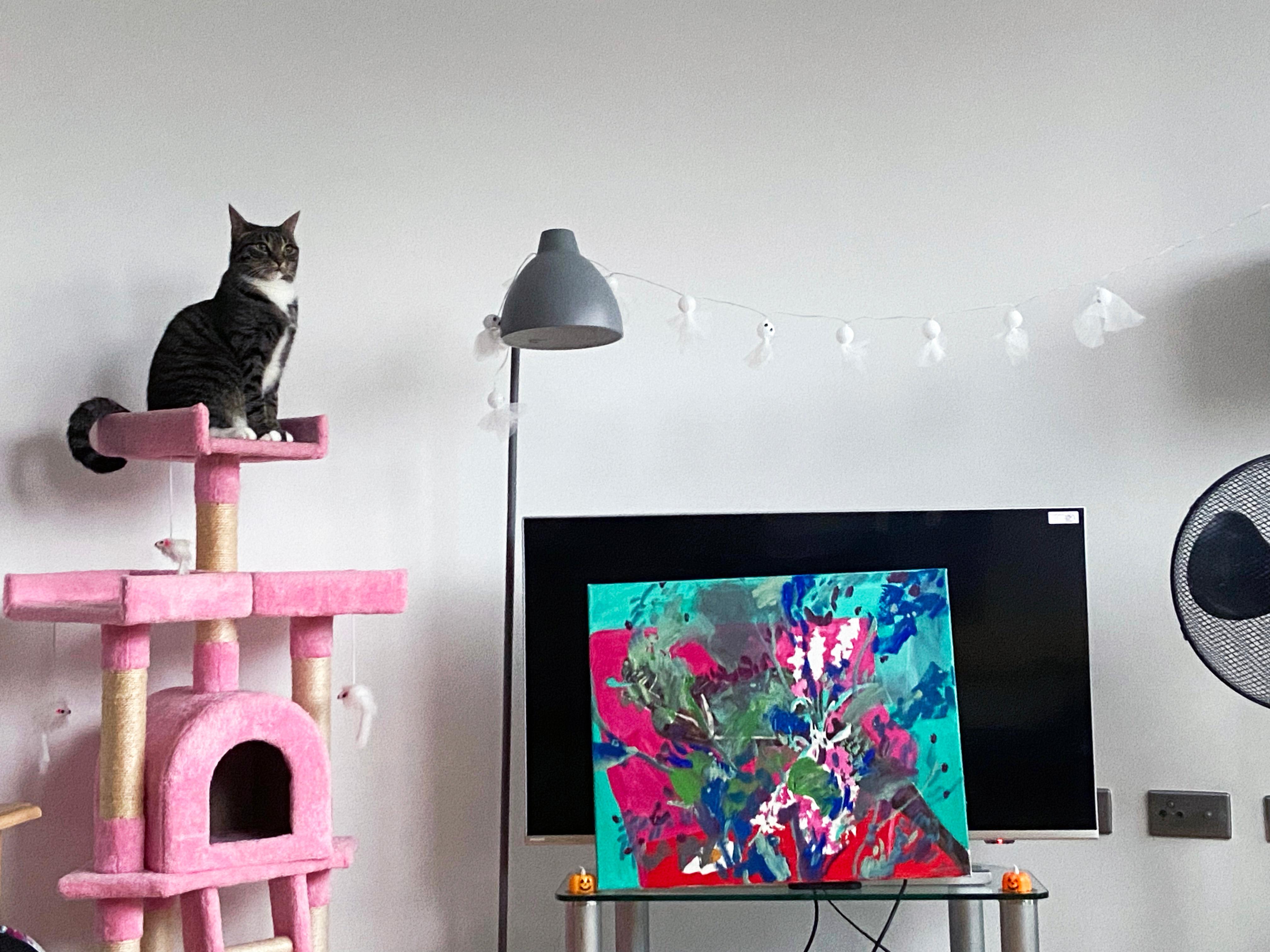 
acrylic, oil on canvas
50x60x3cm

the painting will be shipped ready to be hanged on the wall






Katarina's works are in private collections in Luxembourg, Copenhagen, Palm Springs; Australia and Germany.

Katarina Joys studied Algebra and