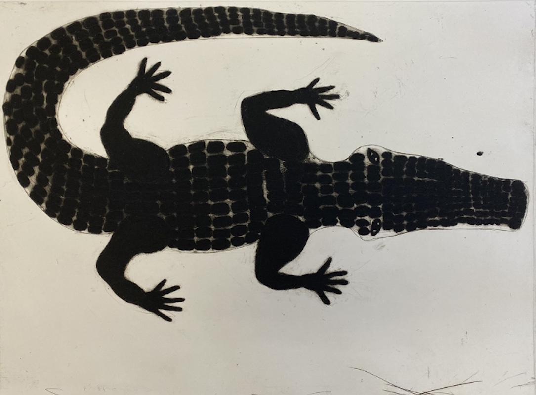 Alligator, Kate Boxer, illustration originale