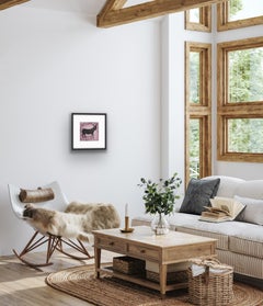 Balthazar, stampa originale, Kate Boxer