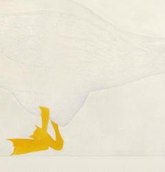 Goose, Kate Boxer, lámina de edición limitada, abstracta, contemporánea, aguafuerte