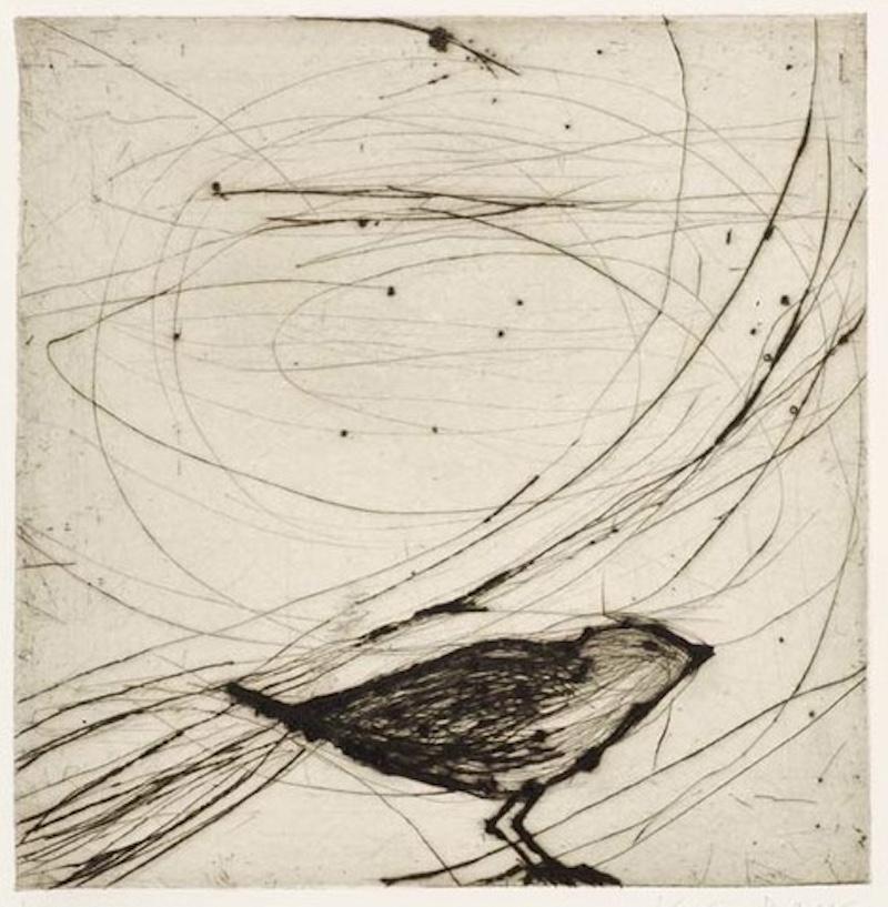 « Small Bird », Kate Boxer, tirage en édition limitée, art contemporain