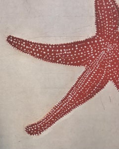 Estrella de mar, impresión original, Kate Boxer