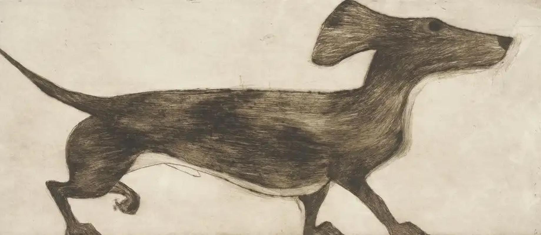 Kate Boxer Animal Print - Ziggy