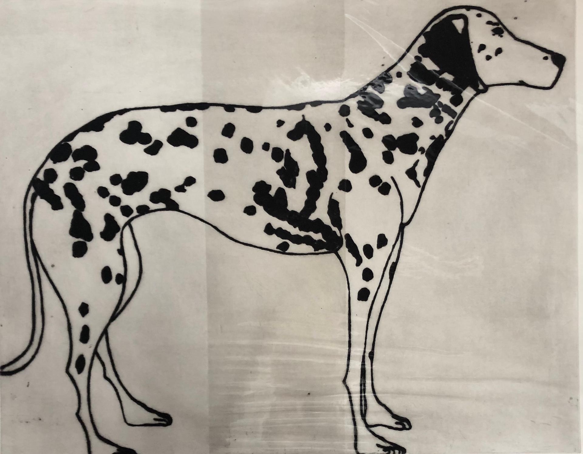 Black and White Dalmatian, Kate Boxer, Animal Art, Dog Print, Drypoint Print 6