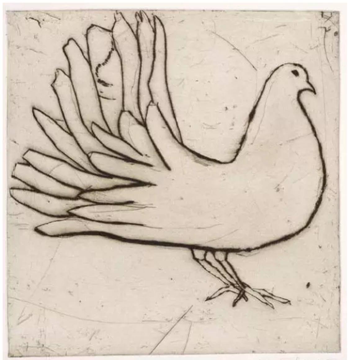 Fantail Dove, Kate Boxer, Contemporary Drypoint Print, Bird Art, Animal Prints
