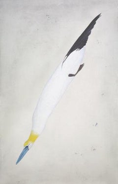 Alcatraz, Impresión artística, Contemporáneo, Pájaro, Impresión artística animal, Animal 