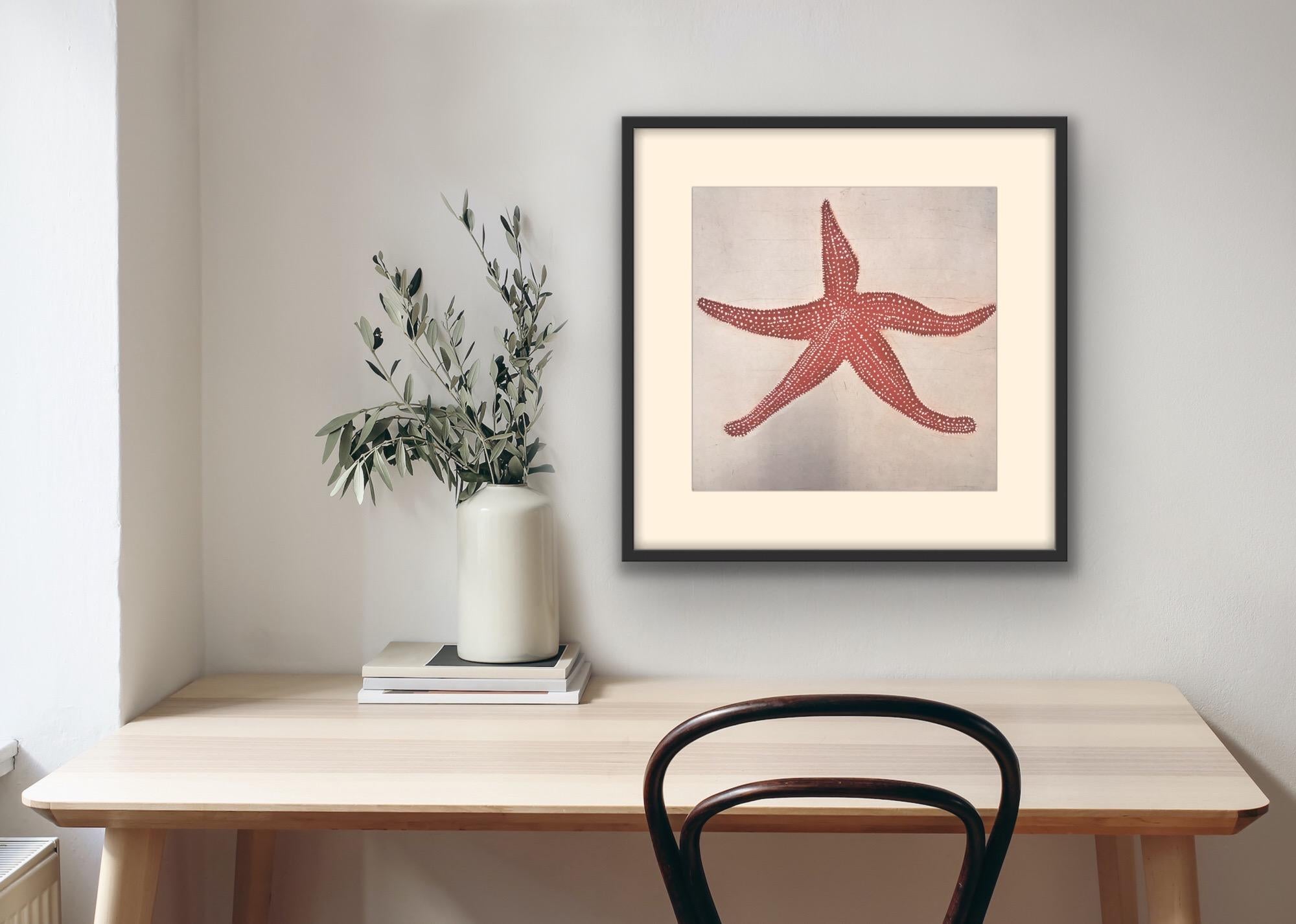 Starfish, Coastal Art, Beach House Art, Contemporary Animal Art Print 5
