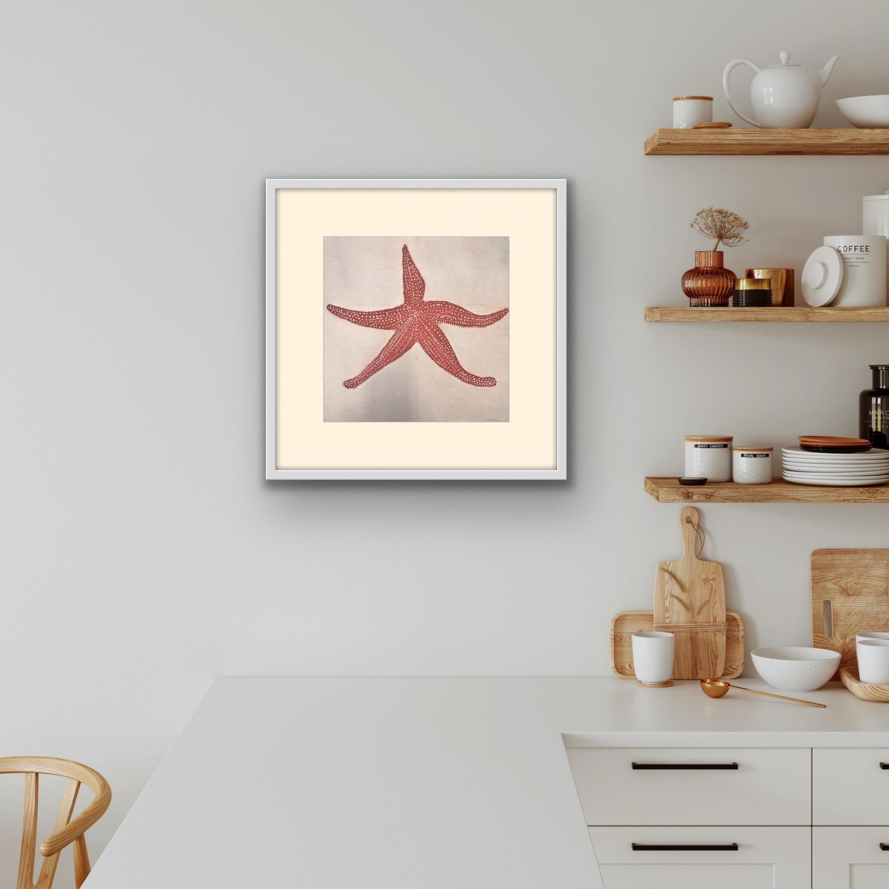 Starfish, Coastal Art, Beach House Art, Contemporary Animal Art Print 6
