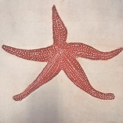 Starfish, Coastal Art, Beach House Art, Contemporary Animal Art Print
