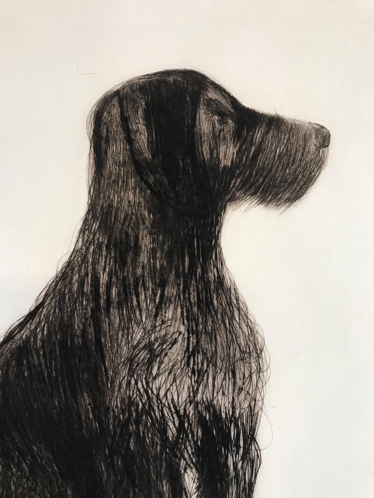 Stevie Sitting by Kate Boxer [2022]
Please note that insitu images are purely an indication of how a piece may look
Stevie Sitting is a handmade dry point print by artist Kate Boxer, featuring a wire haired dog sitting obediently. Kate Boxer, artist