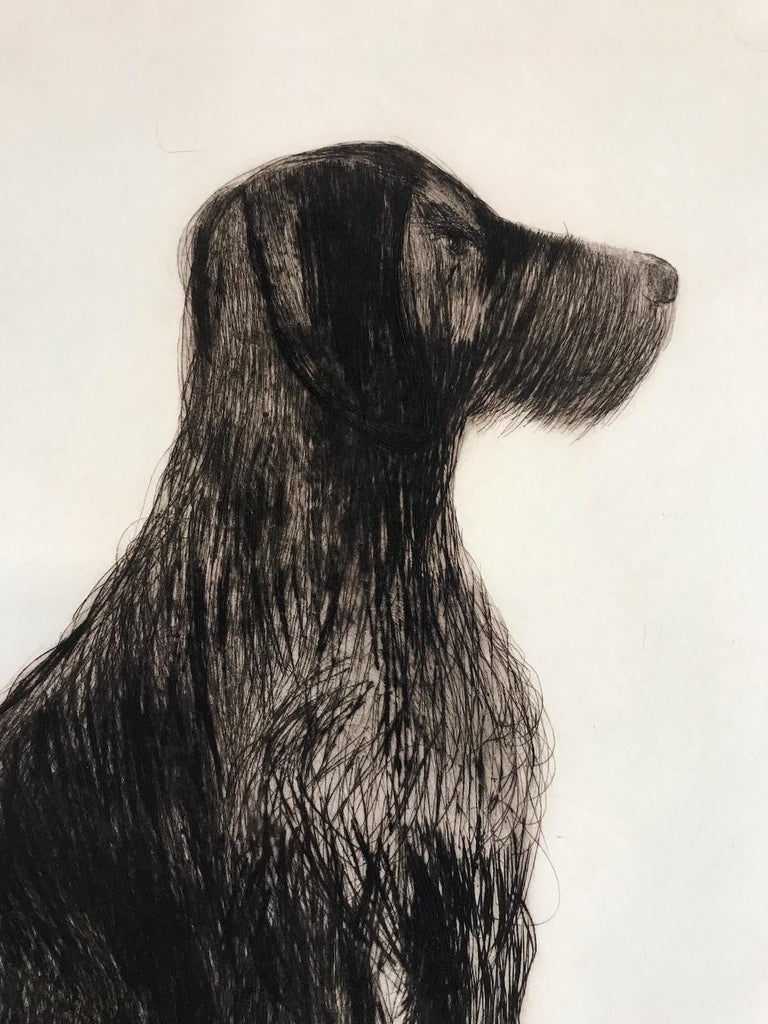 Stevie Sitting, Animal Art, Handmade Drypoint Prints, Dog Art, Happy Art For Sale 4