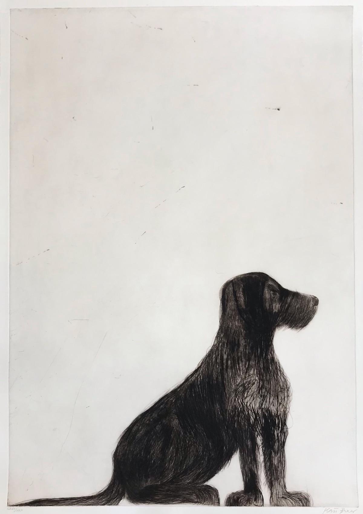 Kate Boxer  Landscape Print - Stevie Sitting, Animal Art, Handmade Drypoint Prints, Dog Art, Happy Art