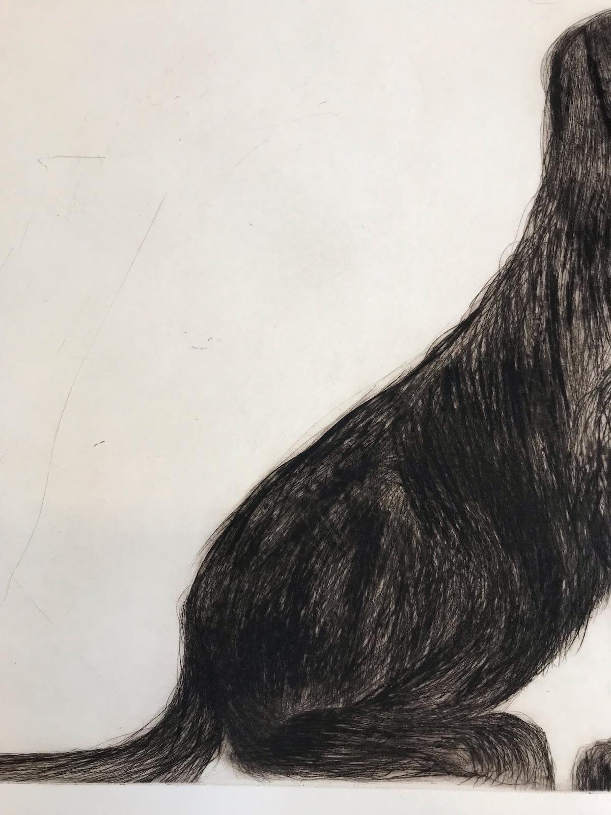 Stevie Sitting, Drypoint Print, Dog, Animal, Black, White For Sale 3