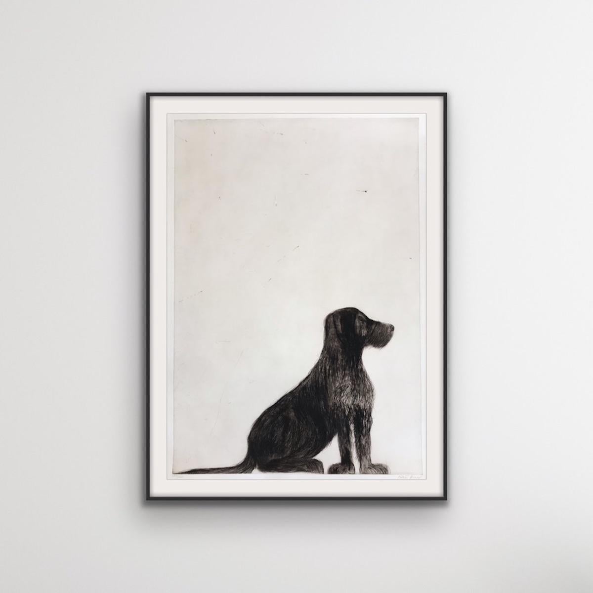 Stevie Sitting, Drypoint Print, Dog, Animal, Black, White For Sale 5