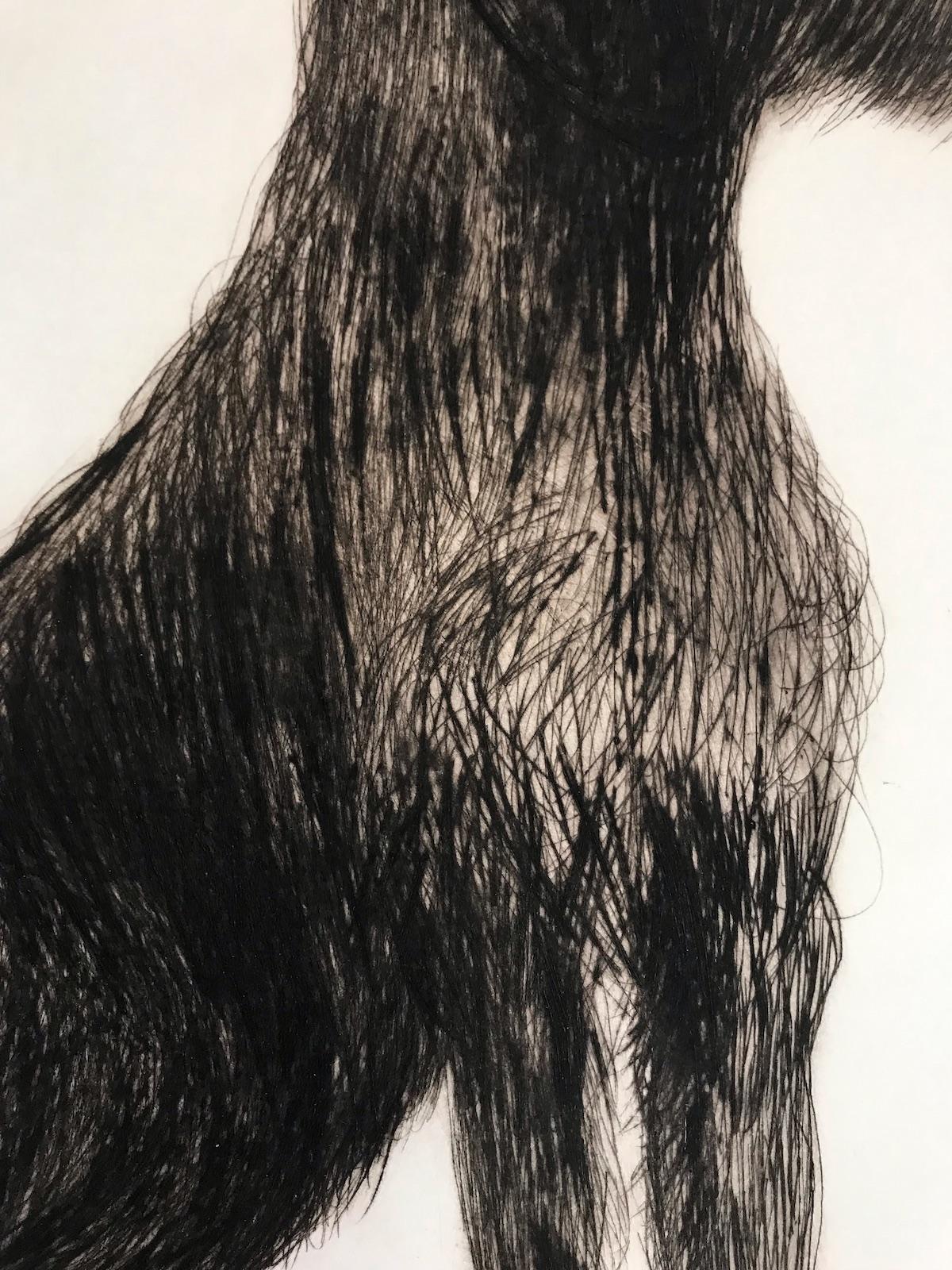 Stevie Sitting, Drypoint Print, Dog, Animal, Black, White For Sale 7