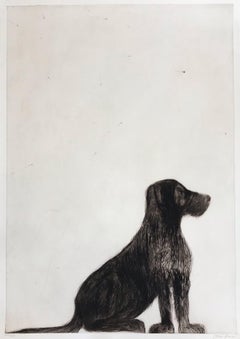 Stevie Sitting, Drypoint Print, Dog, Animal, Black, White