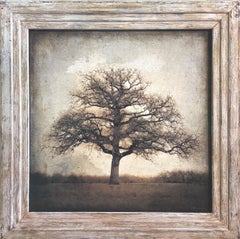 "Live Oak, Winter, Texas" Original Artwork, Pigment Print and Colored Pencil